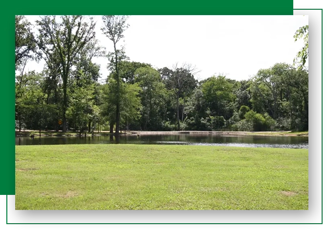 A large grassy area with trees and water.