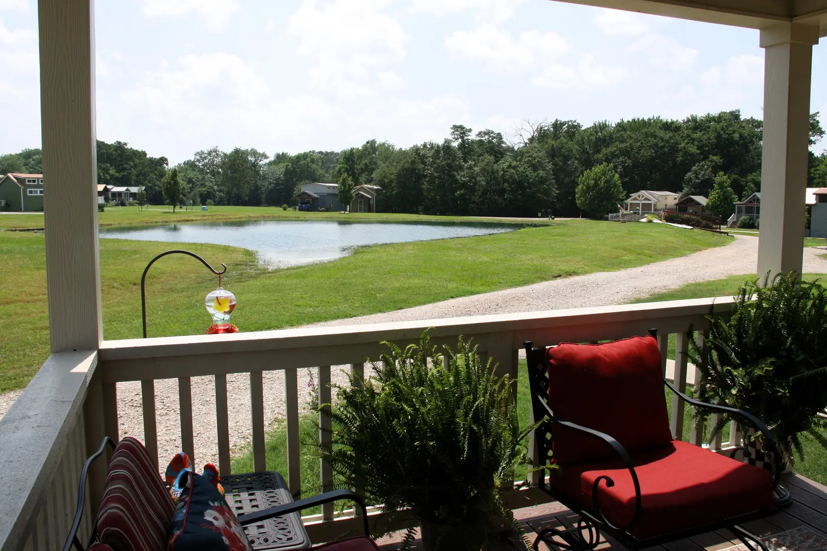 A view of a pond from the porch.