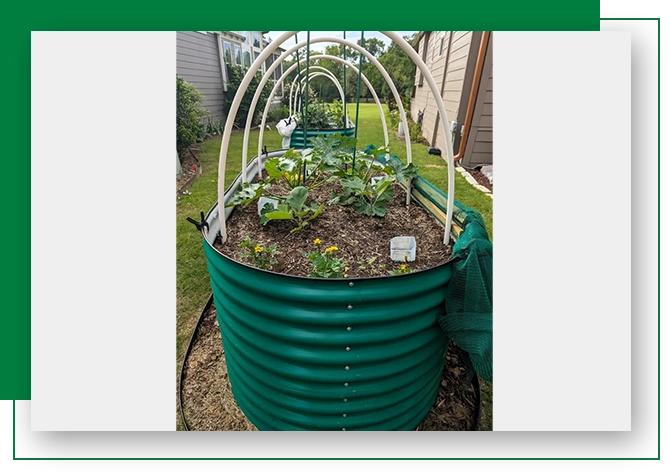 A green container with plants growing in it.