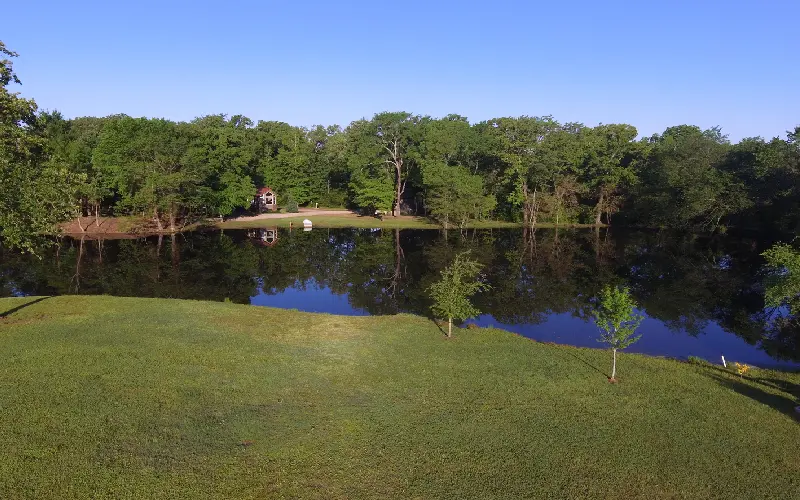 A lake surrounded by trees and grass.