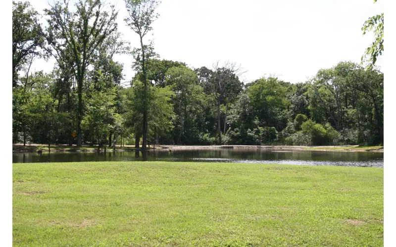 A grassy area with trees and water in the background.