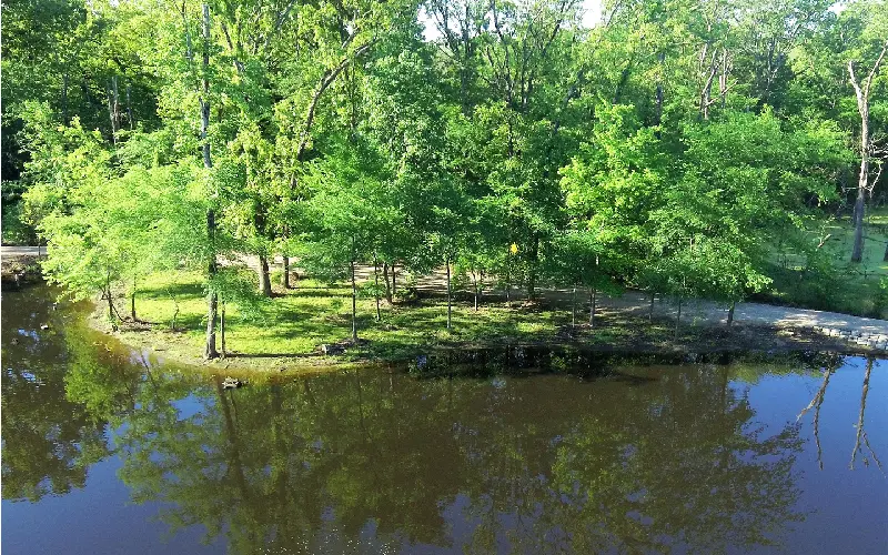 A pond with trees in the background and water