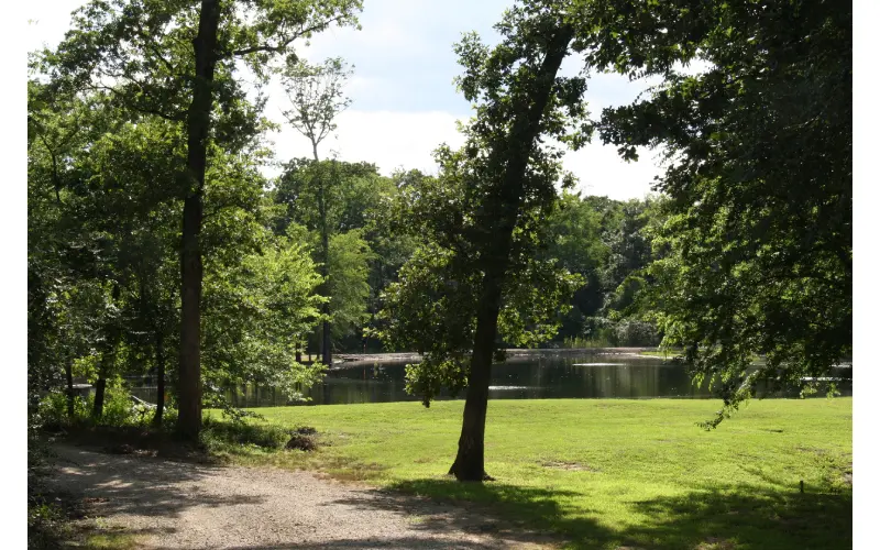 A park with trees and grass next to the water.