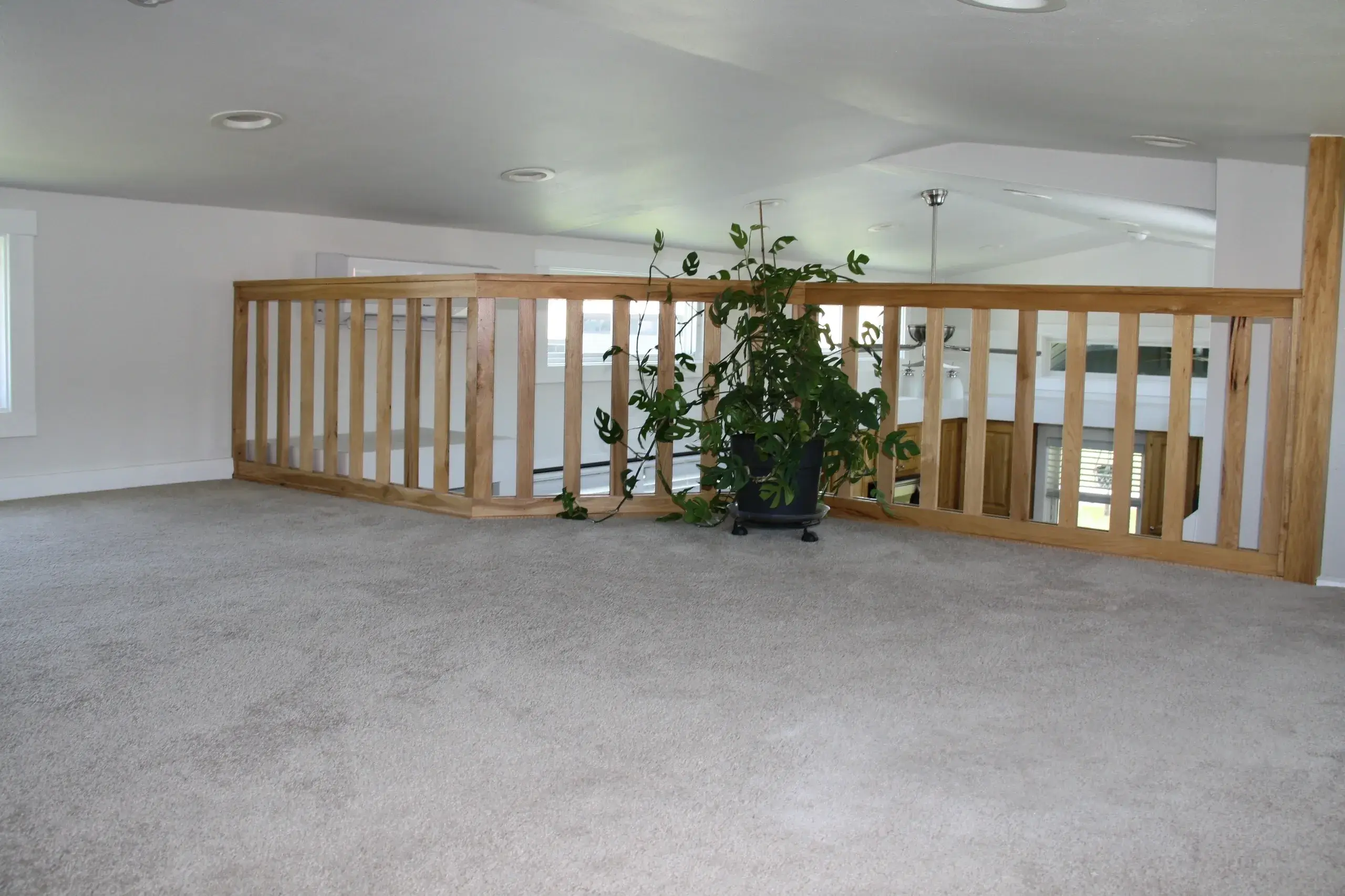 Loft space with railing and potted plant.